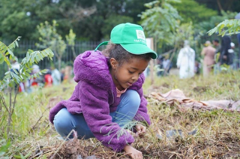 #Ethiopia๐ฑ๐ช๐น#GreenLegacy