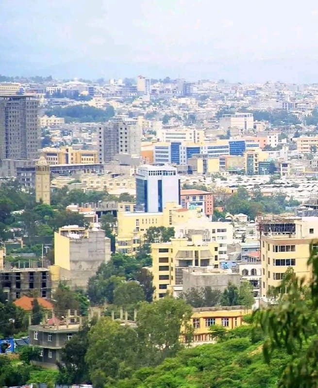 #Tigray