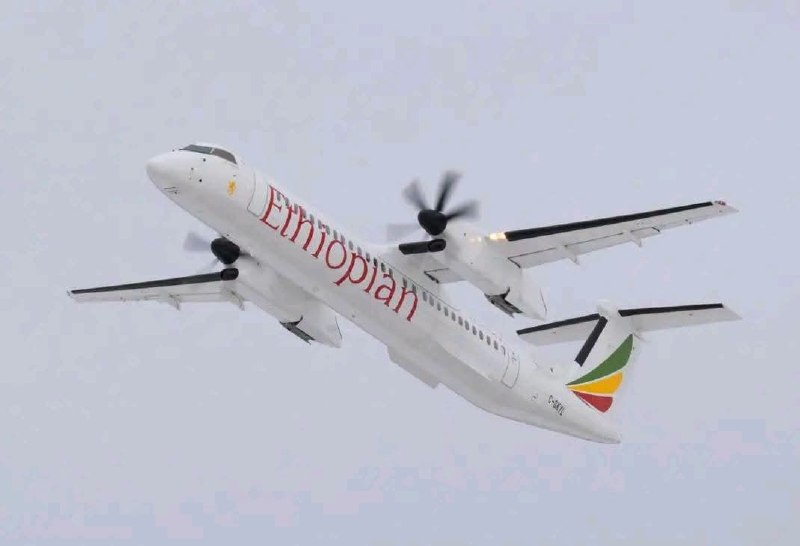 የኢትዮጵያ አየር መንገድ ከነገ ሐምሌ 25 ቀን 2018 ዓ/ም ጀምሮ ከጎንደር ሁመራ ቋሚ የበረራ አገልግሎት ሊጀምር መሆኑን አስታውቋል።