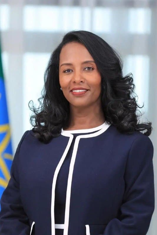 ወ/ሮ አዳነች አቤቤ የአዲስ አበባ ከተማ ከንቲባ ሆነው ተሾሙ።